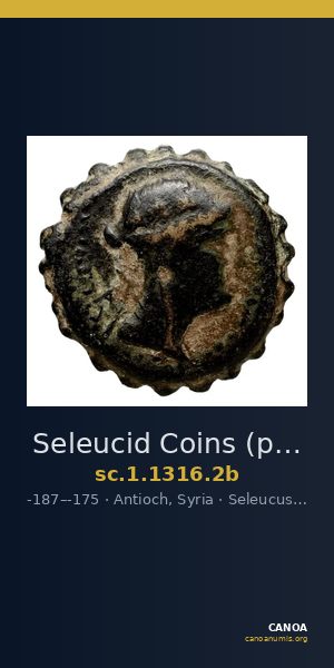 Seleucid Coins (part 2) 1316.2b — CANOA