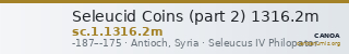 Seleucid Coins (part 2) 1316.2m — CANOA