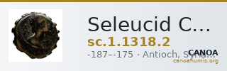 Seleucid Coins (part 2) 1318.2 — CANOA