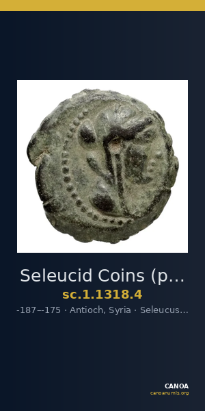 Seleucid Coins (part 2) 1318.4 — CANOA