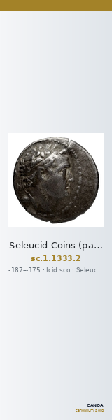 Seleucid Coins (part 2) 1333.2 — CANOA