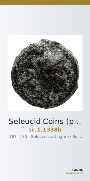 Seleucid Coins (part 2) 1338b — CANOA