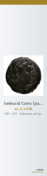 Seleucid Coins (part 2) 1339 — CANOA