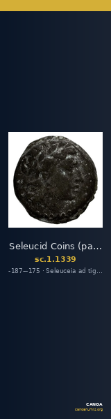 Seleucid Coins (part 2) 1339 — CANOA
