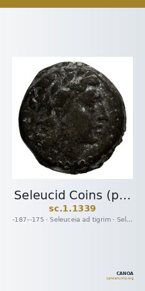Seleucid Coins (part 2) 1339 — CANOA