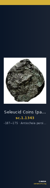 Seleucid Coins (part 2) 1343 — CANOA
