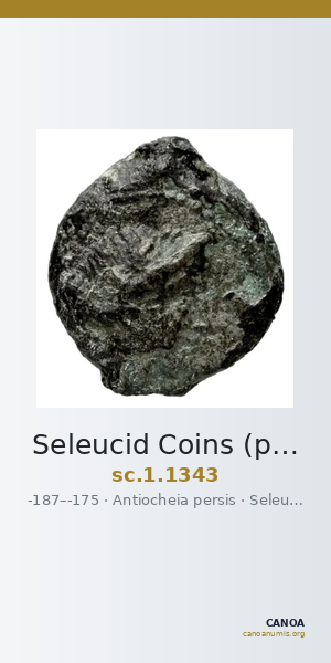 Seleucid Coins (part 2) 1343 — CANOA