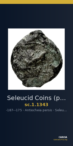 Seleucid Coins (part 2) 1343 — CANOA
