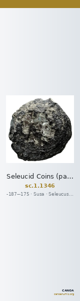 Seleucid Coins (part 2) 1346 — CANOA
