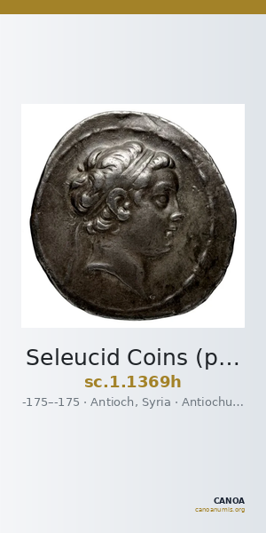 Seleucid Coins (part 2) 1369h — CANOA