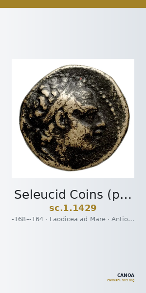 Seleucid Coins (part 2) 1429 — CANOA