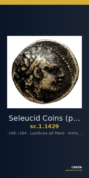 Seleucid Coins (part 2) 1429 — CANOA