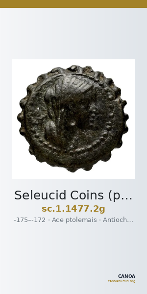 Seleucid Coins (part 2) 1477.2g — CANOA