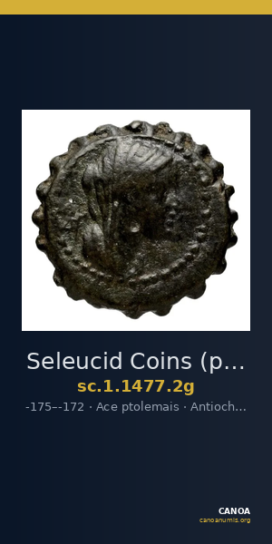 Seleucid Coins (part 2) 1477.2g — CANOA