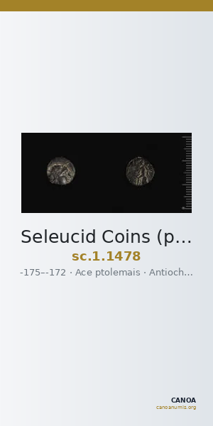 Seleucid Coins (part 2) 1478 — CANOA