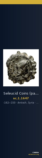 Seleucid Coins (part 2) 1647 — CANOA