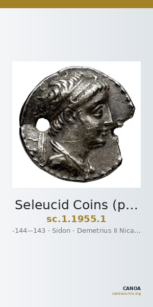 Seleucid Coins (part 2) 1955.1 — CANOA
