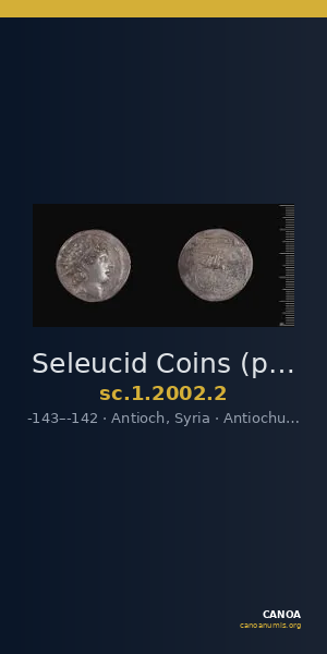 Seleucid Coins (part 2) 2002.2 — CANOA