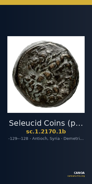 Seleucid Coins (part 2) 2170.1b — CANOA