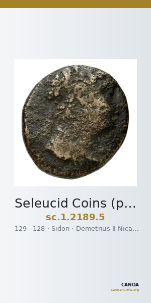 Seleucid Coins (part 2) 2189.5 — CANOA