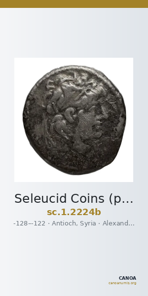 Seleucid Coins (part 2) 2224b — CANOA