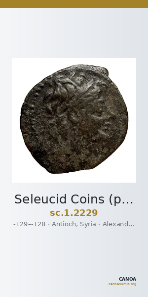 Seleucid Coins (part 2) 2229 — CANOA