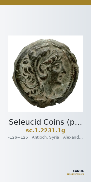Seleucid Coins (part 2) 2231.1g — CANOA