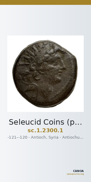 Seleucid Coins (part 2) 2300.1 — CANOA