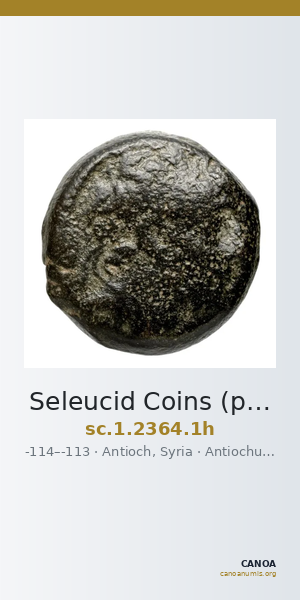 Seleucid Coins (part 2) 2364.1h — CANOA
