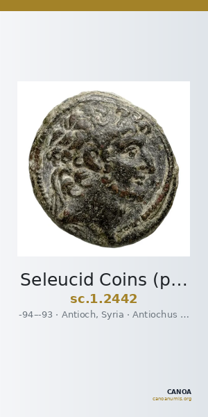 Seleucid Coins (part 2) 2442 — CANOA