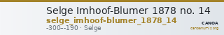 Selge Imhoof-Blumer 1878 no. 14 — CANOA