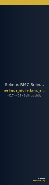 Selinus BMC Selinus 38 — CANOA