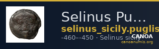 Selinus Puglisi 2009 278-279 — CANOA