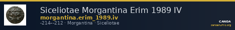 Siceliotae Morgantina Erim 1989 IV — CANOA