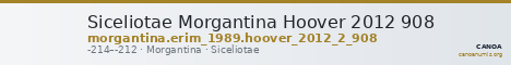 Siceliotae Morgantina Hoover 2012 908 — CANOA