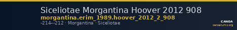 Siceliotae Morgantina Hoover 2012 908 — CANOA