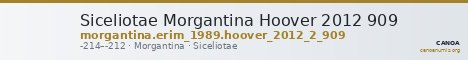 Siceliotae Morgantina Hoover 2012 909 — CANOA