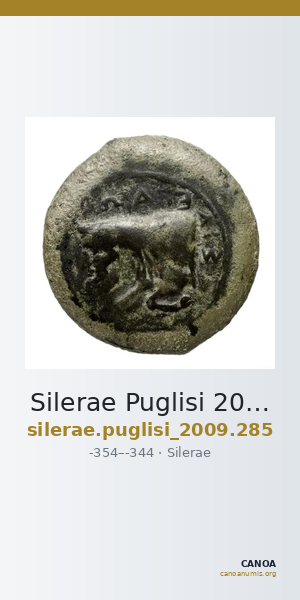 Silerae Puglisi 2009 285 — CANOA