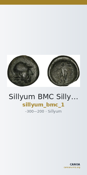 Sillyum BMC Sillyum 1 — CANOA