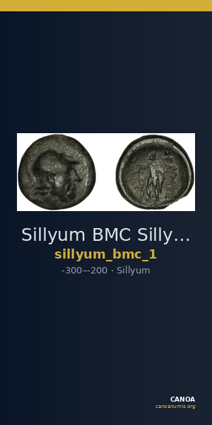 Sillyum BMC Sillyum 1 — CANOA