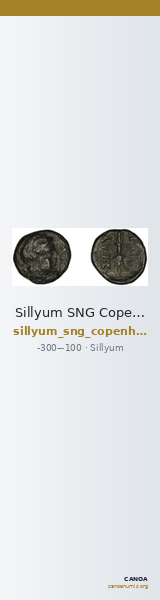 Sillyum SNG Copenhagen Sillyum 438 — CANOA