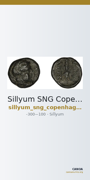 Sillyum SNG Copenhagen Sillyum 438 — CANOA