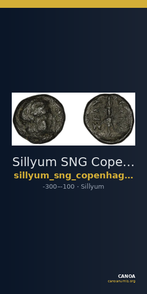Sillyum SNG Copenhagen Sillyum 438 — CANOA