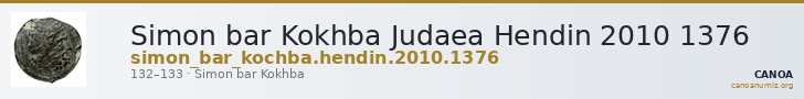 Simon bar Kokhba Judaea Hendin 2010 1376 — CANOA