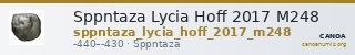 Sppntaza Lycia Hoff 2017 M248 — CANOA