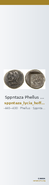 Sppntaza Phellus Hoff 2017 M249 — CANOA