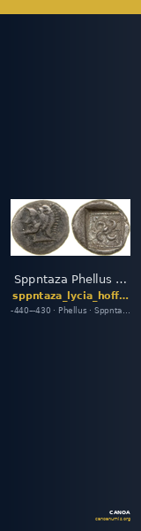 Sppntaza Phellus Hoff 2017 M249 — CANOA