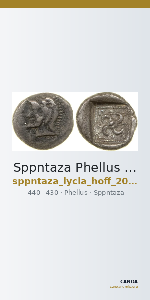 Sppntaza Phellus Hoff 2017 M249 — CANOA