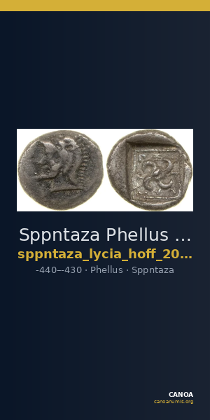 Sppntaza Phellus Hoff 2017 M249 — CANOA