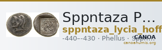 Sppntaza Phellus Hoff 2017 M249 — CANOA